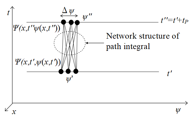 Application of network structure of path integral to field itself