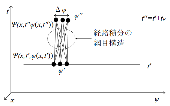 経路積分の網目構造の場自体への適用